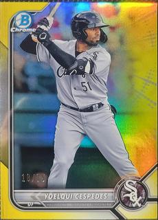 Yoelqui Cespedes