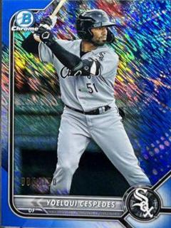 Yoelqui Cespedes