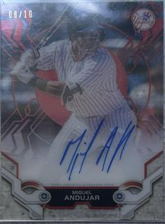 Miguel Andujar