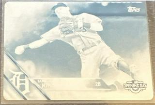 Ian Kinsler