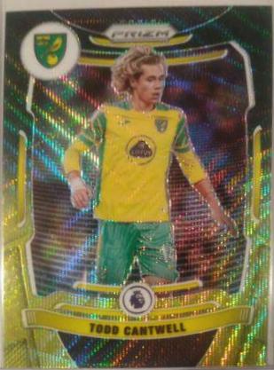 Todd Cantwell #175 2021 Panini Prizm Premier League