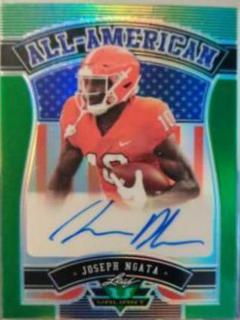 Joseph Ngata