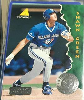 Shawn Green