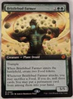 Bristlebud Farmer