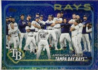 Tampa Bay Rays