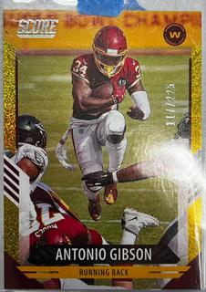 Antonio Gibson