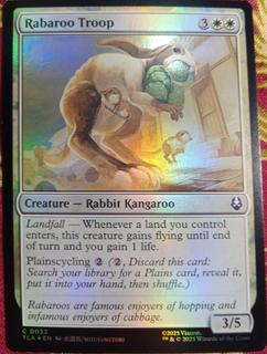 Rabaroo Troop