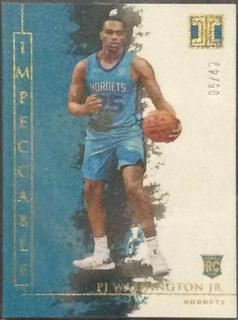 PJ Washington Jr.