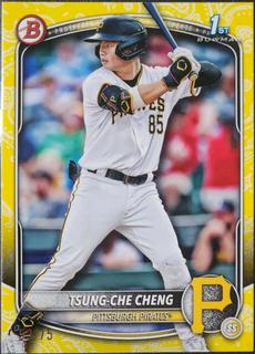 Tsung-Che Cheng