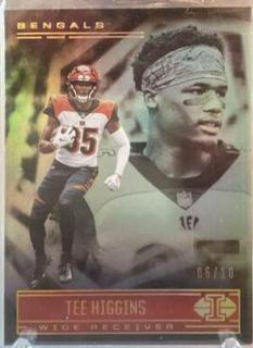 Tee Higgins