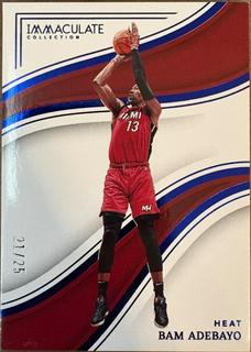 Bam Adebayo