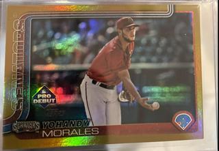 Yohandy Morales