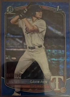 Gavin Fien