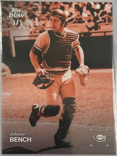 Johnny Bench