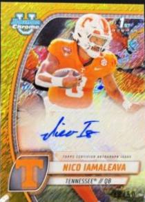 Nico Iamaleava