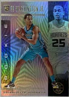 PJ Washington Jr.