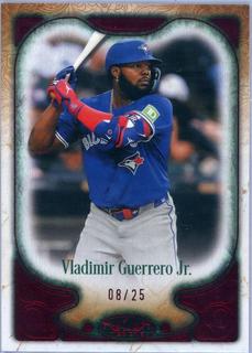 Vladimir Guerrero Jr.