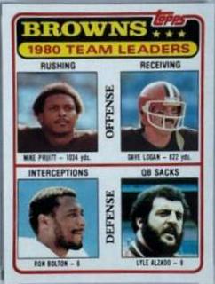 Browns Team Leaders: Checklist