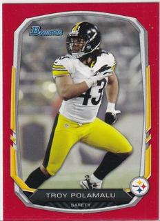 Troy Polamalu