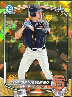 Cameron Maldonado