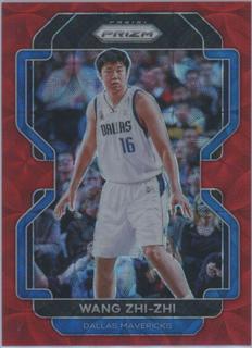 Wang Zhi-zhi