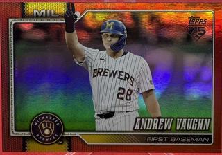 Andrew Vaughn