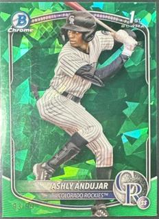 Ashly Andujar