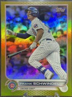 Frank Schwindel