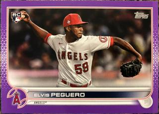 Elvis Peguero