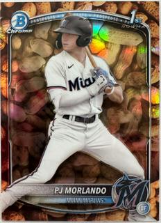 PJ Morlando