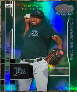 Delmon Young