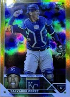 Salvador Perez