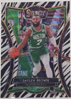Jaylen Brown