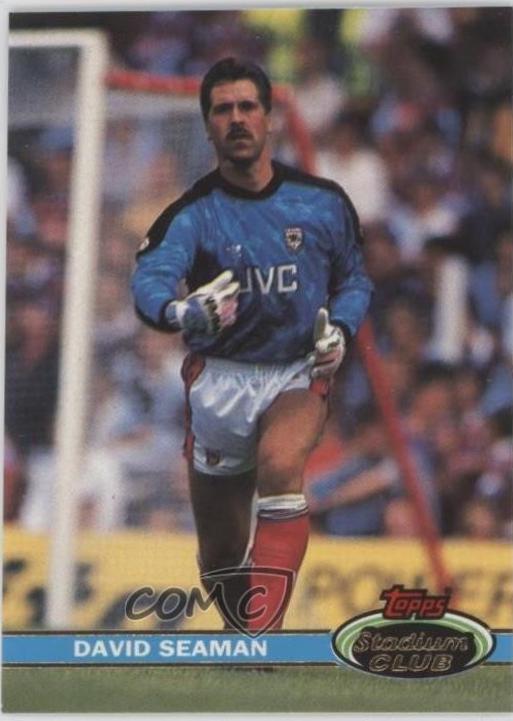David Seaman #94