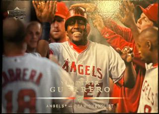 Vladimir Guerrero