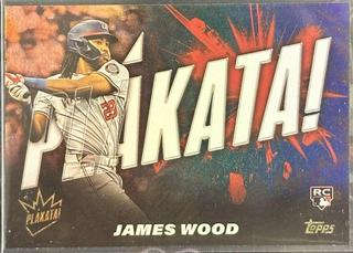 James Wood