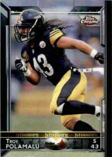 Troy Polamalu