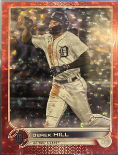 Derek Hill