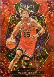 Dalen Terry