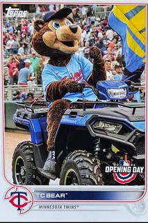 TC Bear