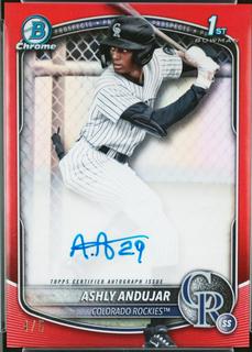 Ashly Andujar