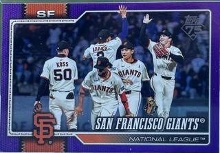 Team Card