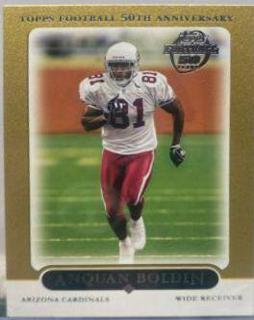 Anquan Boldin