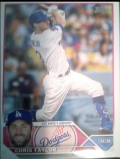 Chris Taylor