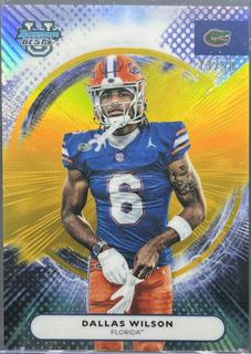 Dallas Wilson