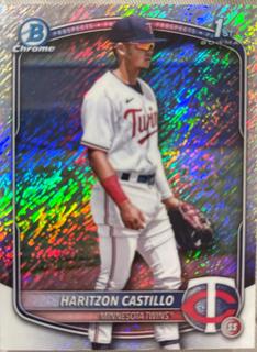 Haritzon Castillo