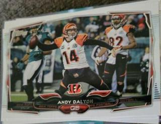 Andy Dalton