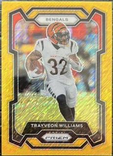 Trayveon Williams