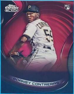 Roansy Contreras