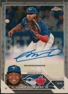 Vladimir Guerrero Jr.